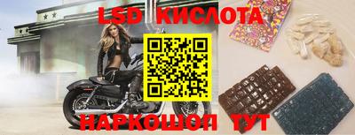 мяу мяу кристалл Малоярославец